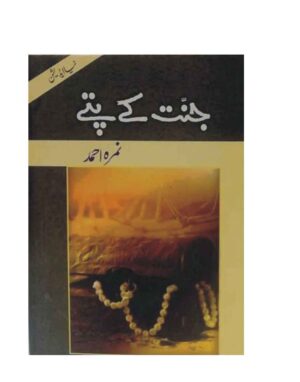 jannat-ke-pattay-%d8%ac%d9%86%d8%aa-%da%a9%db%92-%d9%be%d8%aa%db%92